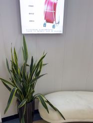 -莆田海峡医疗美容医院