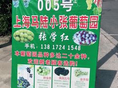 -马陆小张葡萄园农家乐