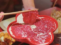 -蜀大侠火锅(总府路店)