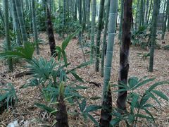 -苏州河梦清园环保主题公园