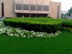 -中共上海市委党校 上海行政学院