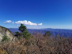 -牛背梁国家森林公园