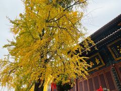 -宝通禅寺