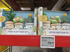 -山姆会员商店(上海浦东店)