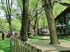 -WeLope紫金山探险公园