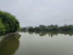 -江心屿景区