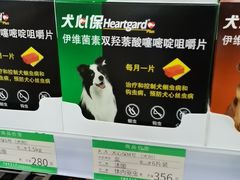 -中国农业大学动物医院