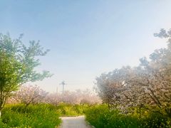 -古柏渡飞黄旅游区