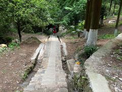 -莫干山风景区
