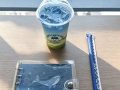 蓝色星球-抱抱地球咖啡馆(国家海洋博物馆店)