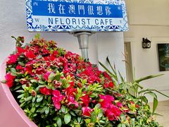 -澳门威尼斯人综合度假区