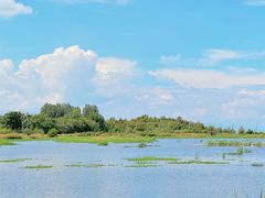 -洱海月湿地公园