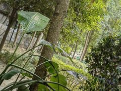-二荆条·蜀鲜汇城市森林火锅