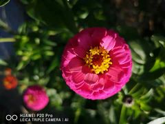 景点-野鸭湖国家湿地公园