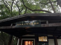 -马王堆汉墓遗址