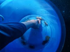 -东戴河风景区-止锚湾