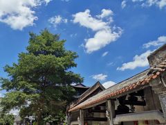 -成裕雪糕店(士多店)