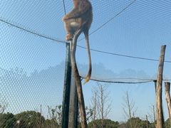 -宁波野生动物园