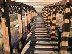 -白草畔自然风景区