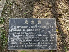 -黄帝陵