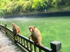 -三峡人家风景区