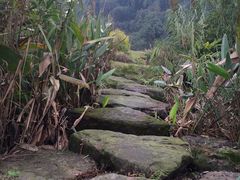 -张坝桂圆林公园