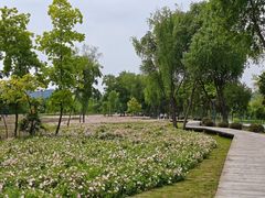 -长广溪湿地公园