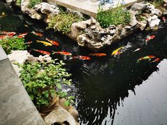 -金海华·华宴江南(斜塘店)