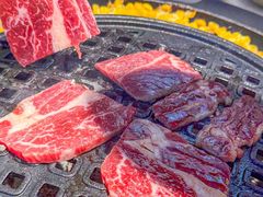 -韩宫宴和牛烤肉(宁波环球银泰城店)