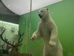 -国家自然博物馆