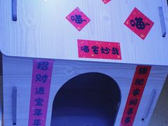 -喵园·猫主题咖啡厅·撸猫·猫咖(国贸店)