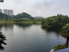 -景德镇中国陶瓷博物馆西山湖凯莱度假酒店