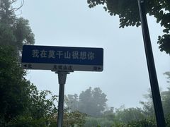 -莫干山风景区