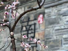 -老门东历史文化街区