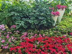 -石家庄市植物园