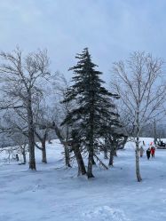 -大秃顶子山(雪谷店)