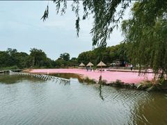 -上海杨姆庄园