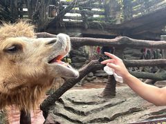 -长鹿旅游休博园