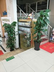 -Bollins波林丝•专研护发中心