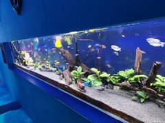 -沙沙哗啦海洋馆(华宇百花谷店)