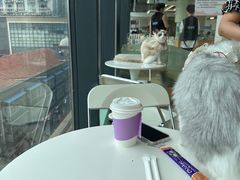 -怪兽屋·羊驼·猫咖·狗咖(俊华广场店)