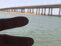 -红星码头