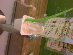 -Salud撒露欧洲冻酸奶(蓝色港湾店)