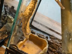 -春晖园度假酒店温泉