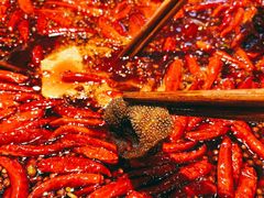 -骉骉老火锅(水杉街店)