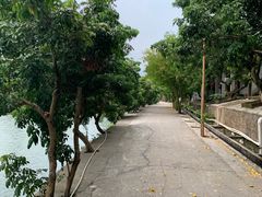 -满記土窑烧鷄波浪山莊