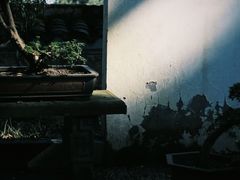 -南山植物园