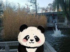 -碑林公园