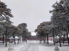-故宫博物院(故宫)