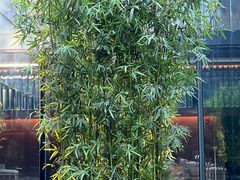 -璞瑄酒店大堂吧